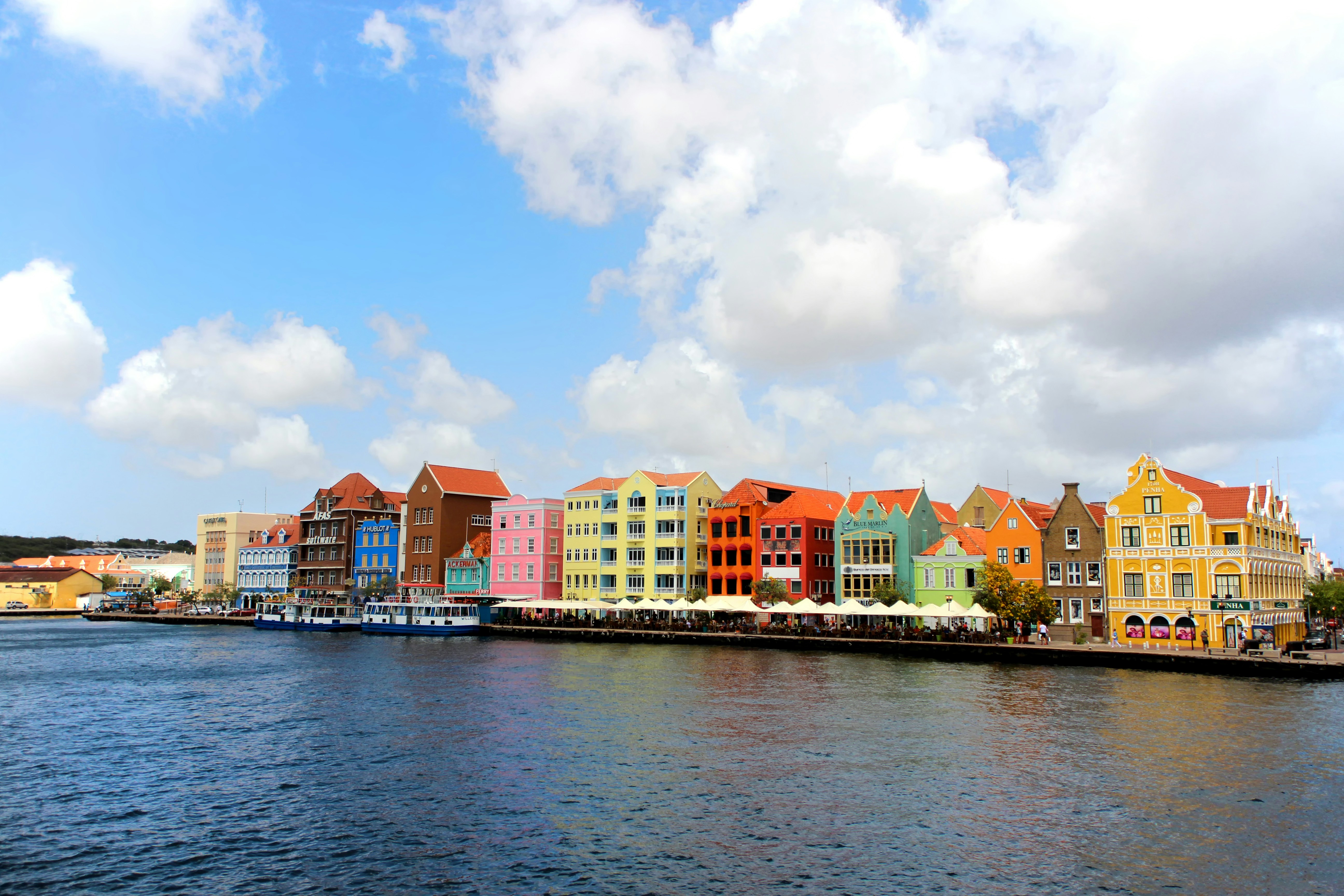 Bonaire Diver