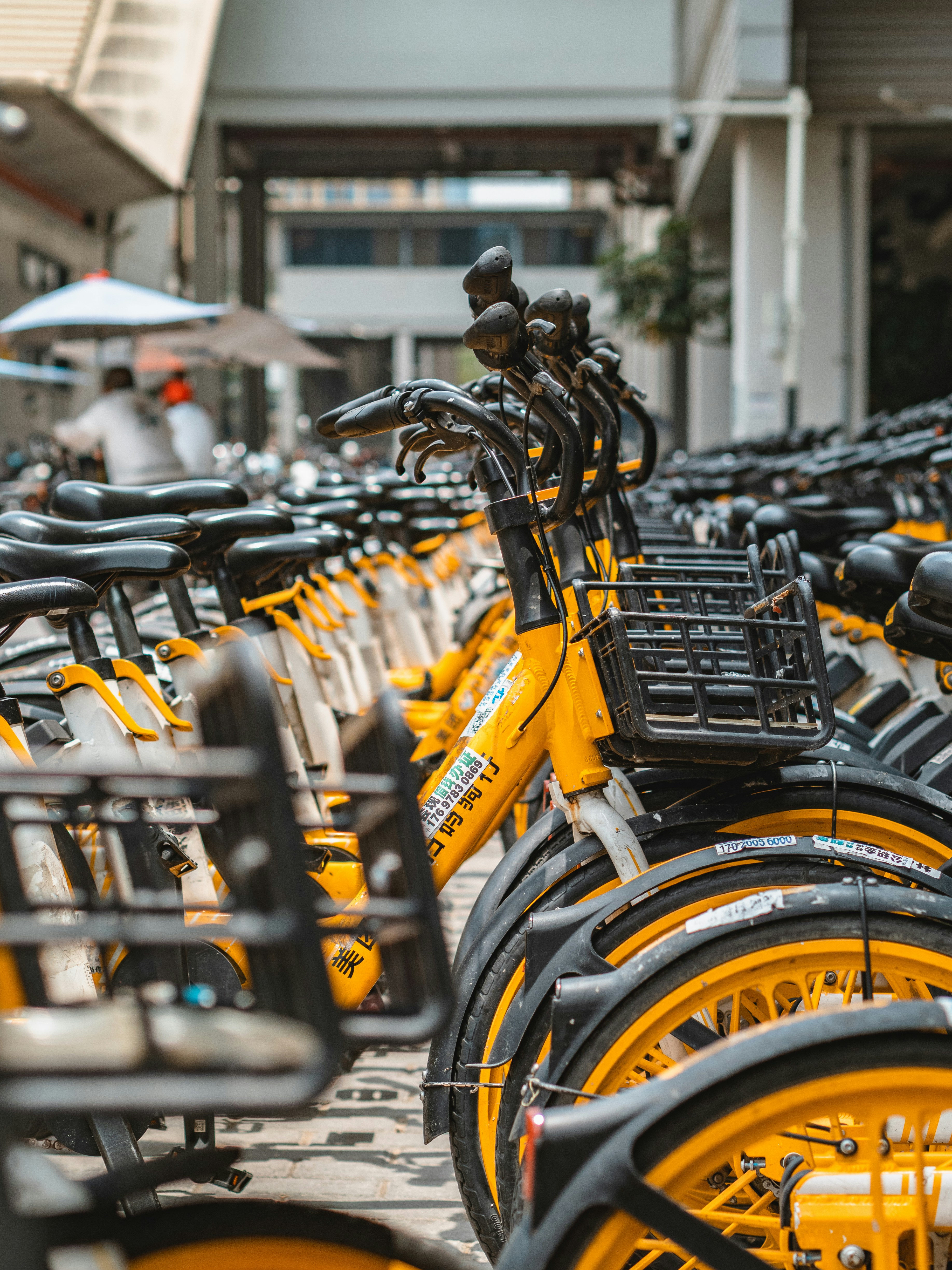 Public Bike System